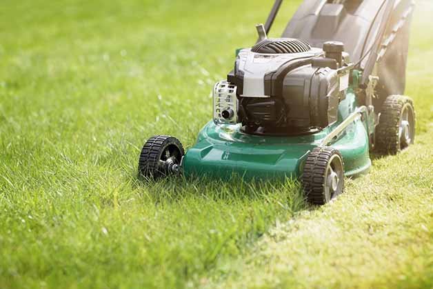 we-provide-gardening-services