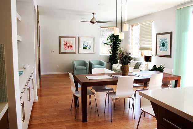 GoClean House Cleaning Services